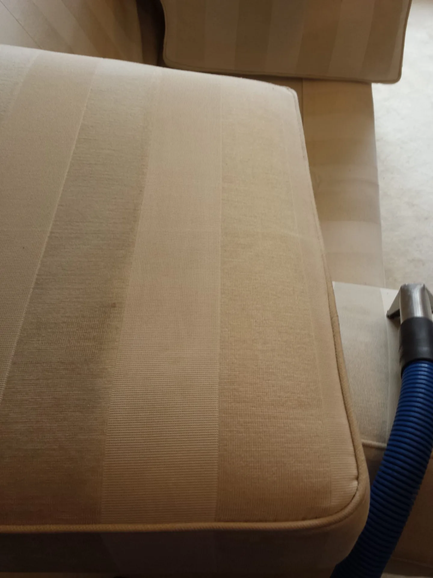 Fabric seat cushion with a clean stripe after hot water extraction upholstery cleaning