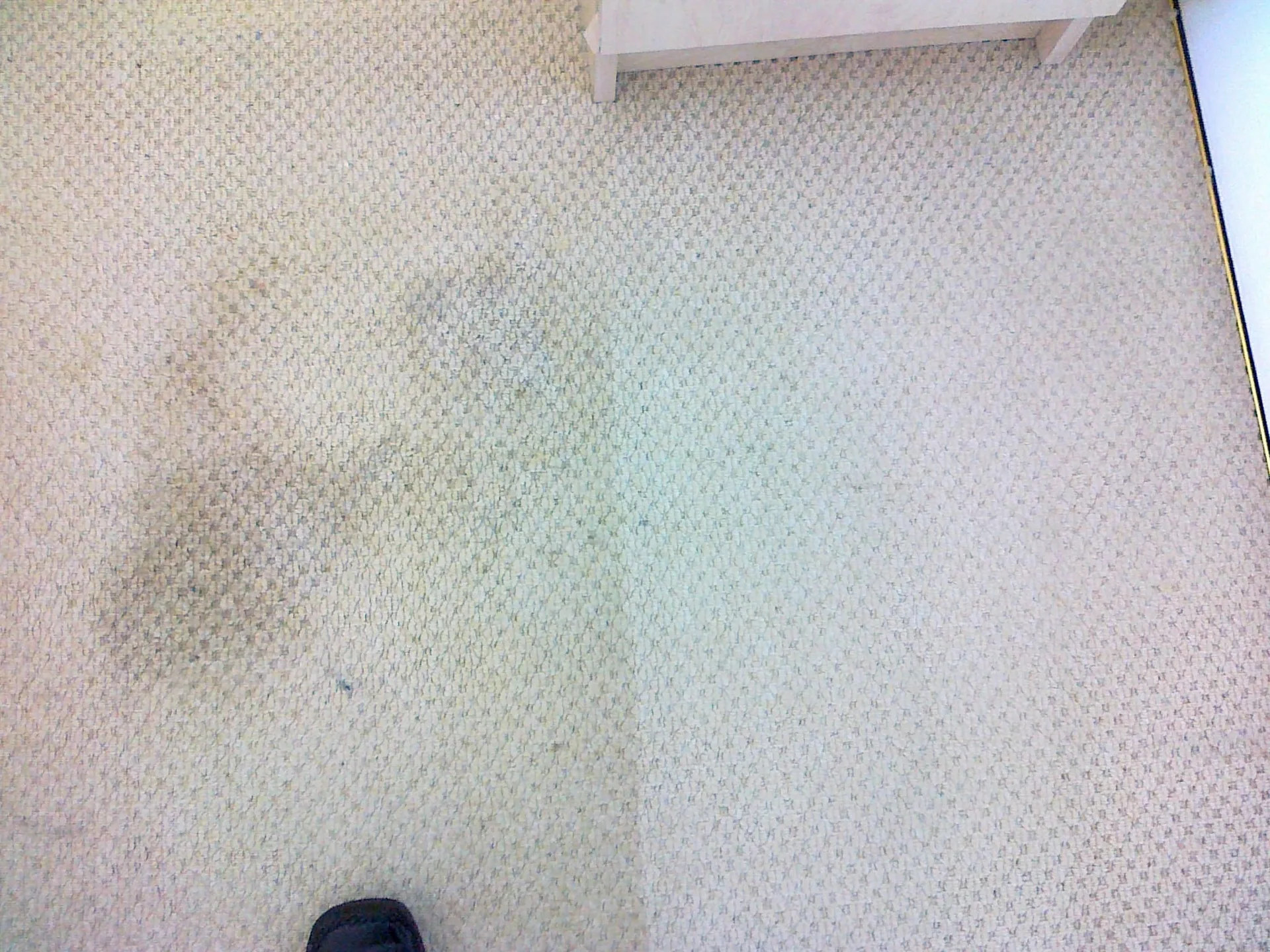 Beige patterned carpet before and after stain removal, clean half next to the stained half