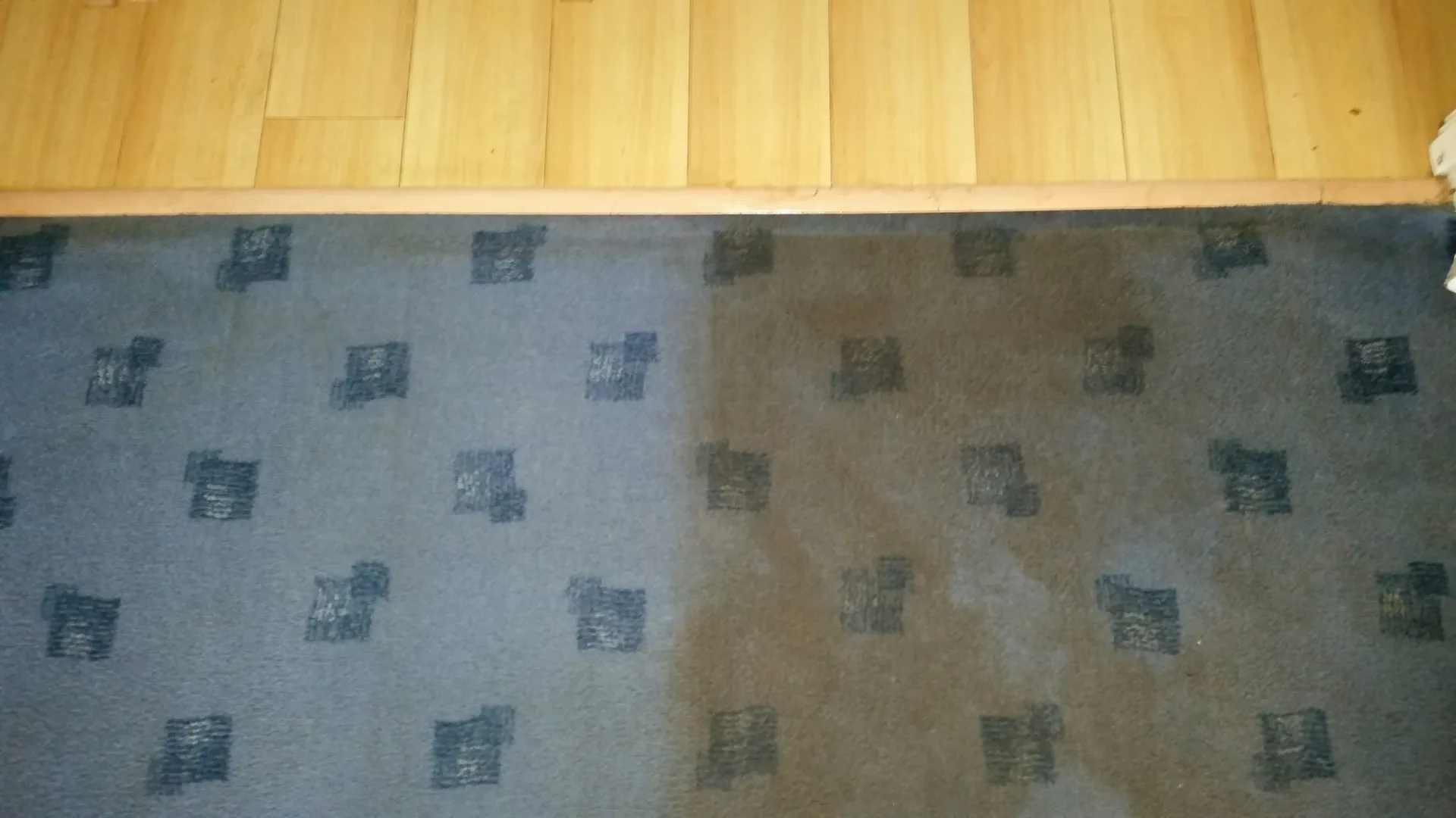 Blue patterned carpet half cleaned, showing the difference before and after carpet cleaning
