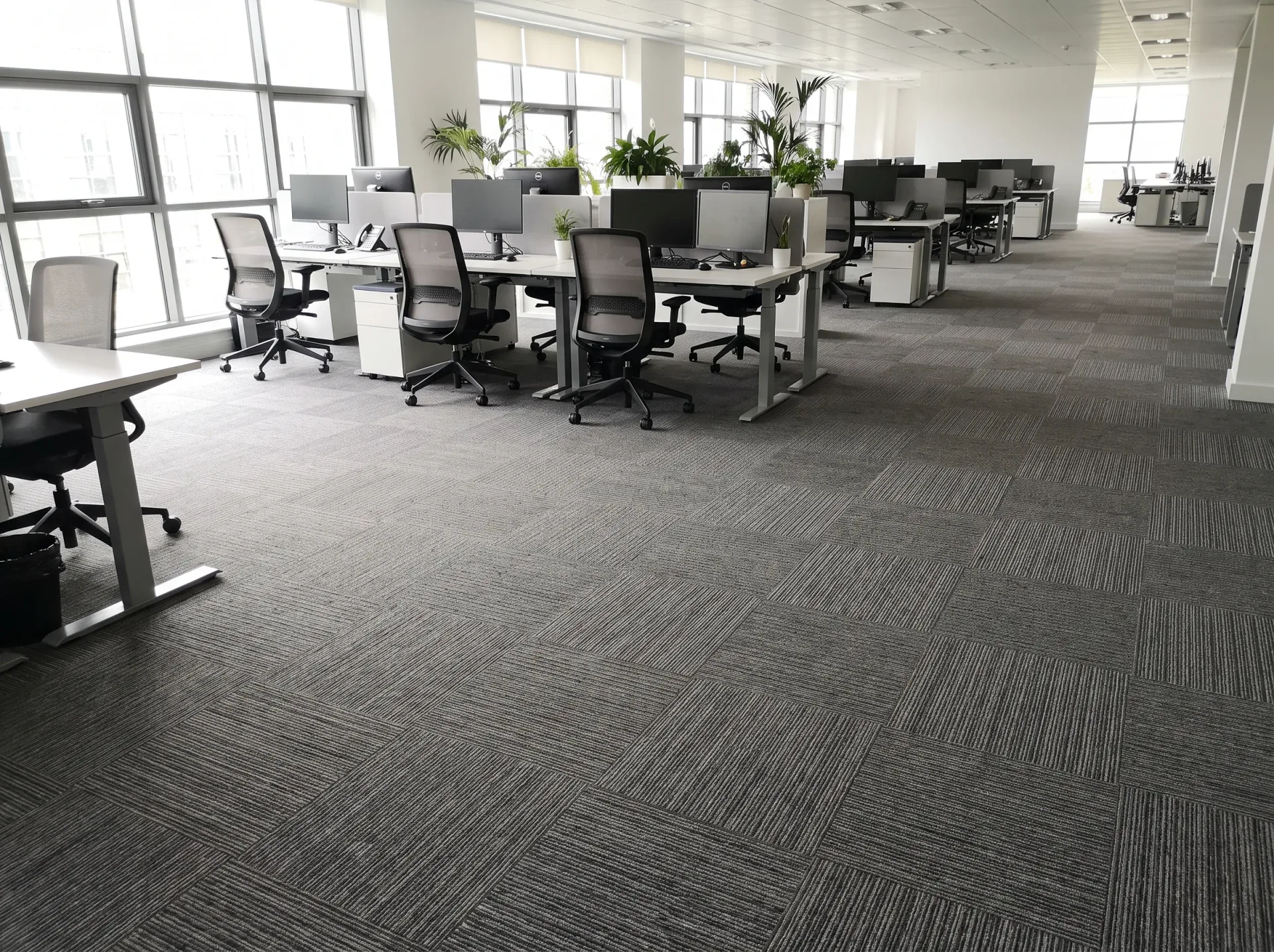 Pristine office carpet with geometric-patterned tile design in clean modern commercial workspace